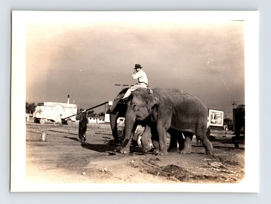 Cole Bros Circus elephant with trainer rider Grand Island Nebraska 1944 vintage photo