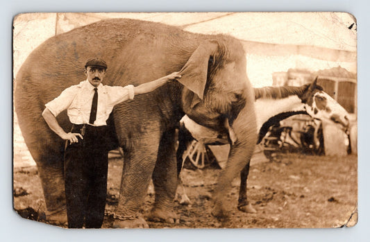 Fred Elzor Shows 1913 Postcard RPPC Photo Elephant Trainer 5.5 x 3.5