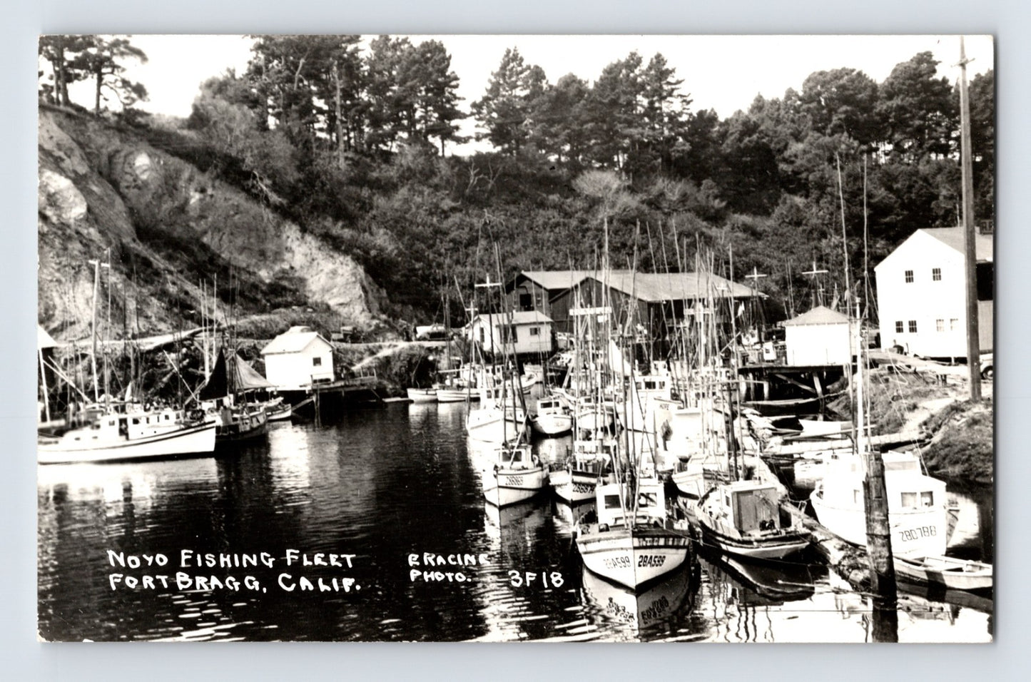 Fort Bragg California Noyo Fishing Fleet harbor boats RPPC postcard with fishing vessels docked along wooded waterfront