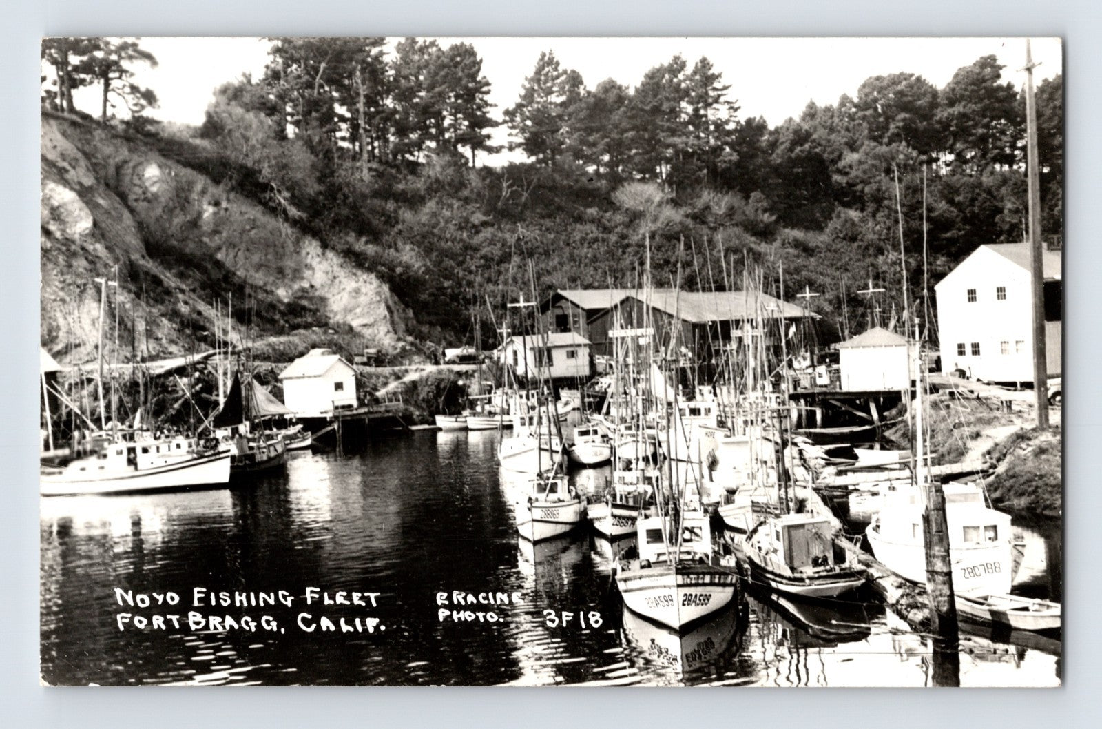 Fort Bragg California Noyo Fishing Fleet harbor boats RPPC postcard with fishing vessels docked along wooded waterfront