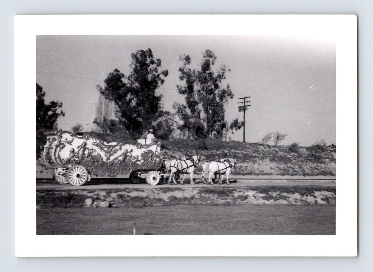 Disneyland Mickey Mouse Club Circus ornate parade wagon horse team 1955 photo Anaheim California