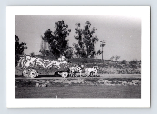 Disneyland Mickey Mouse Club Circus ornate parade wagon horse team 1955 photo Anaheim California