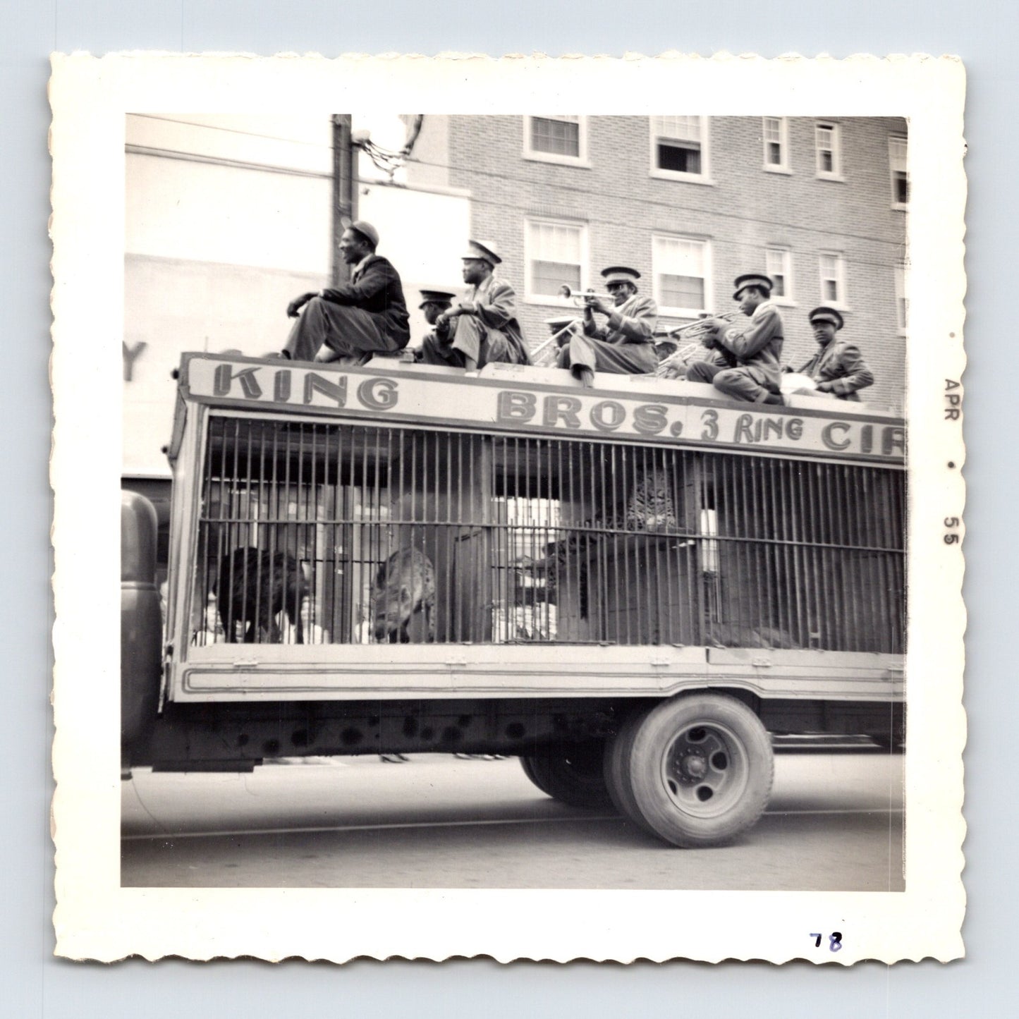1955 Cole Bros Circus band wagon snapshot photograph showing musicians riding above animal cages during a downtown Decatur GA circus parade