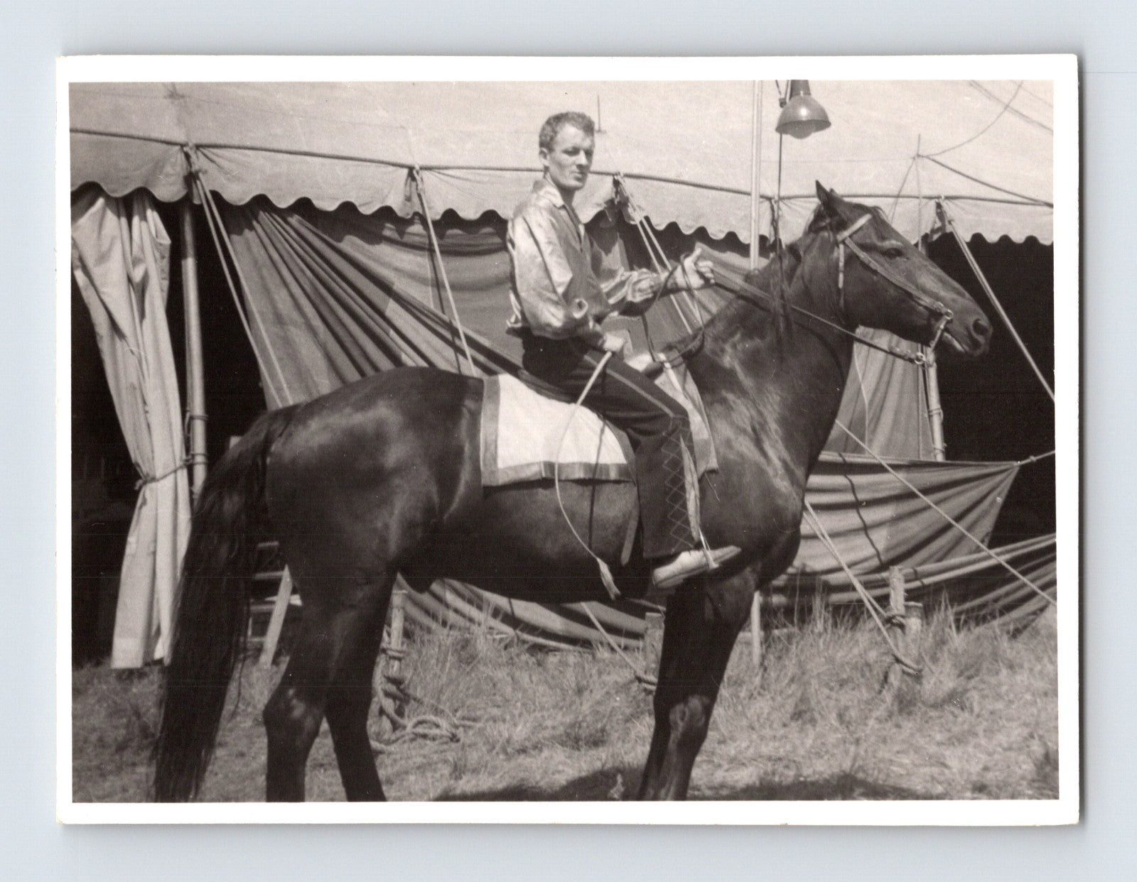 Mills Bros Circus 1940s performer seated on horse beside circus tent photograph