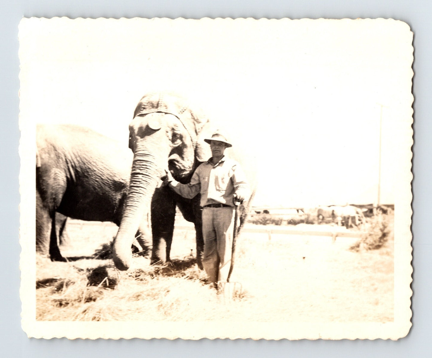 Black-and-white 1944 snapshot photograph showing a Cole Bros Circus elephant and trainer standing together on an open circus lot.