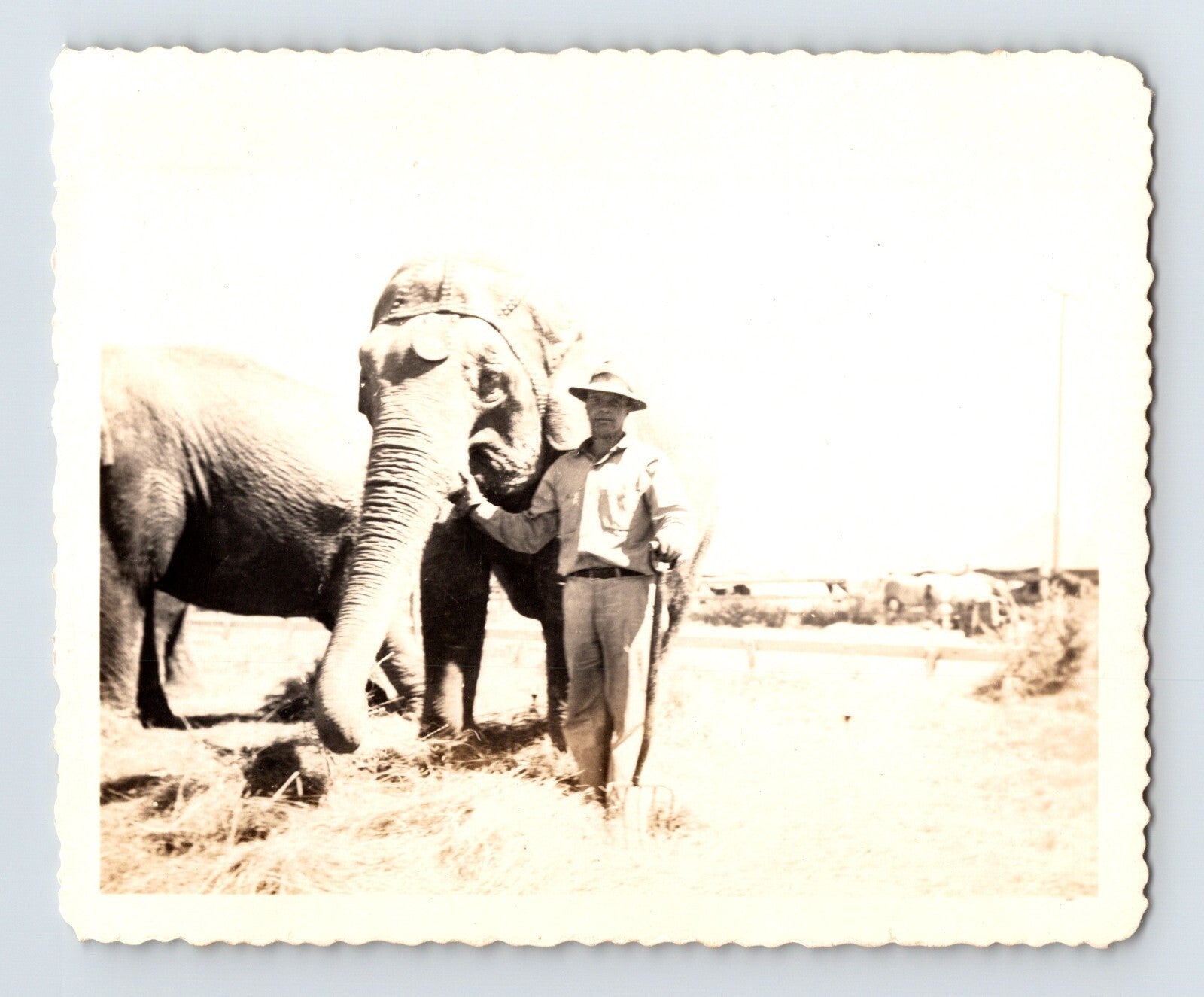 Black-and-white 1944 snapshot photograph showing a Cole Bros Circus elephant and trainer standing together on an open circus lot.