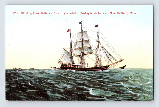 Vintage illustration of a whaling ship in the ocean with text about a whale encounter.