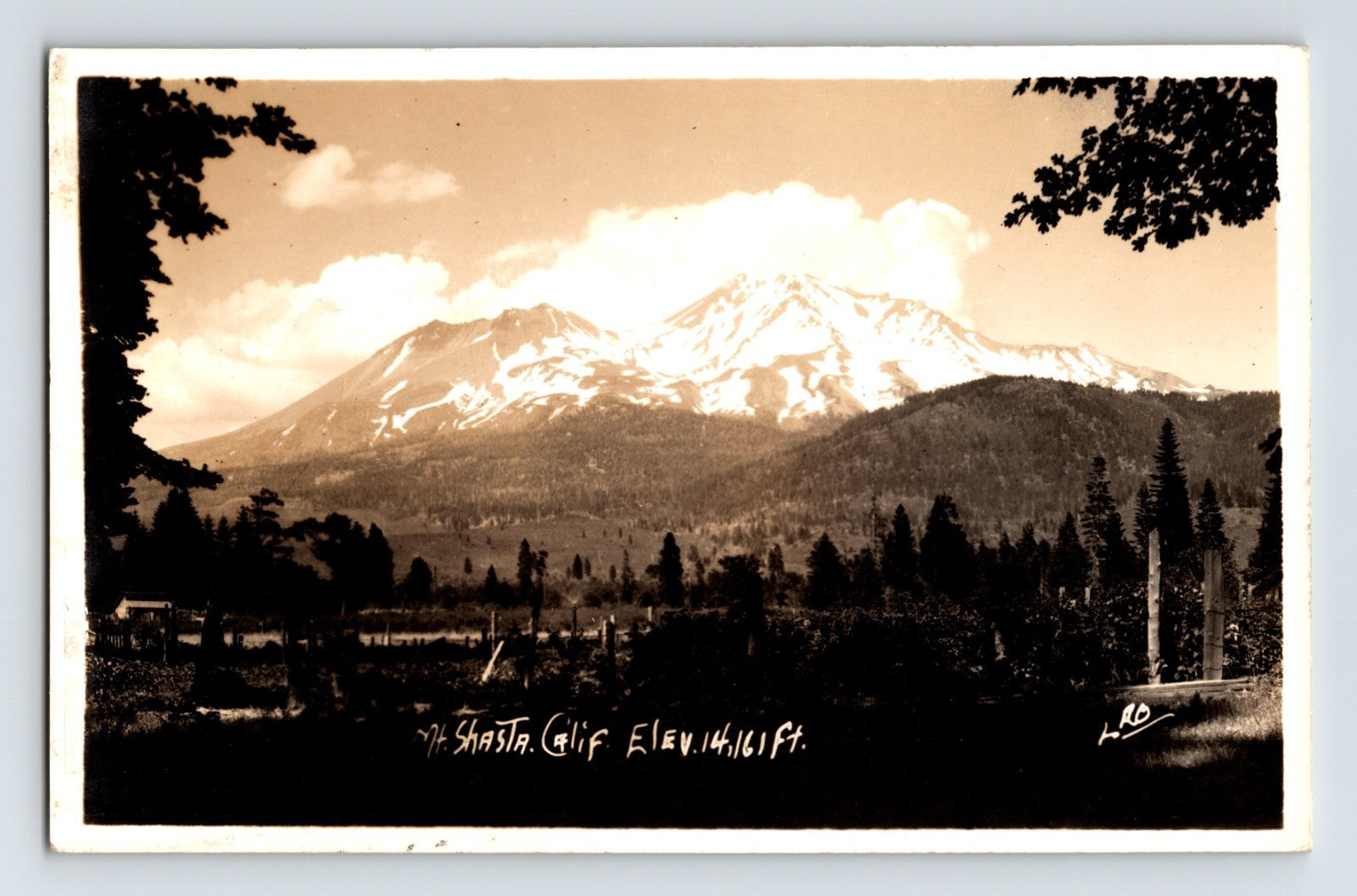 Mount Shasta California snow capped peak forest foreground clouds photo 1940s postcard