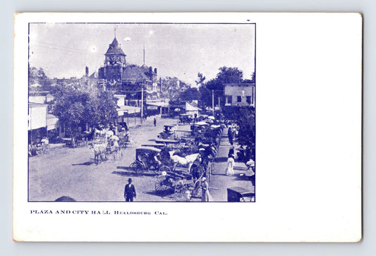 Healdsburg California Plaza and City Hall horse drawn carriages street scene pre 1907