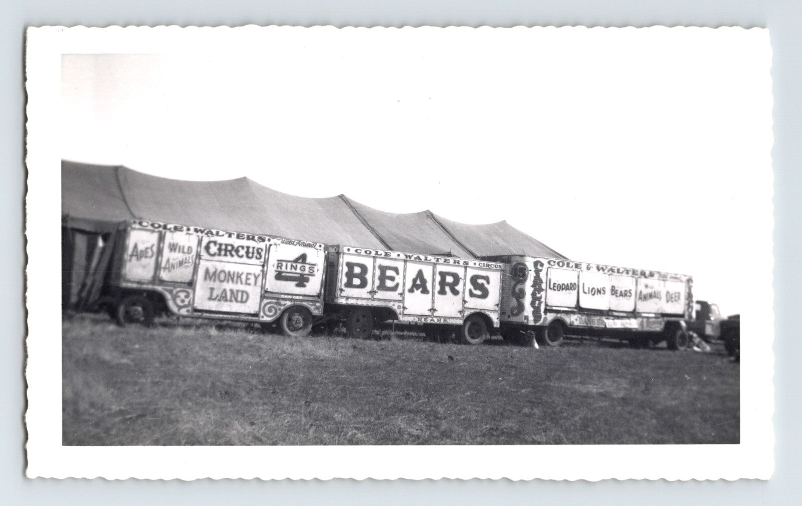 Cole Walter Circus animal trailers with Bears and Monkey Land signage Chelsea Oklahoma 1953 vintage photo
