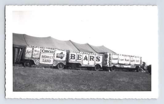 Cole Walter Circus animal trailers with Bears and Monkey Land signage Chelsea Oklahoma 1953 vintage photo