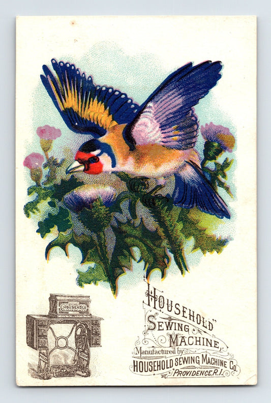 Household Sewing Machine goldfinch bird Victorian trade card Providence Rhode Island 1890s