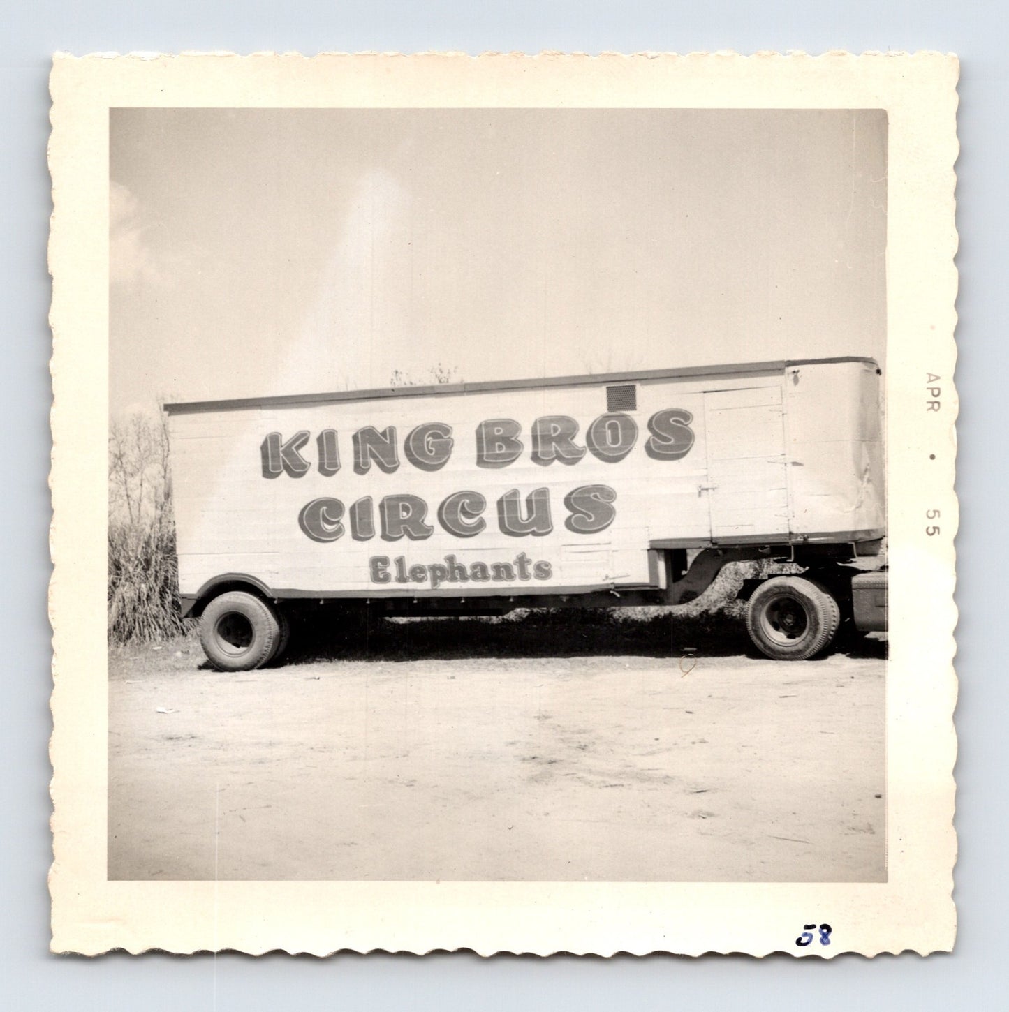 King Bros Circus 1955 photo elephant transport truck with painted signage Elephants winter quarters
