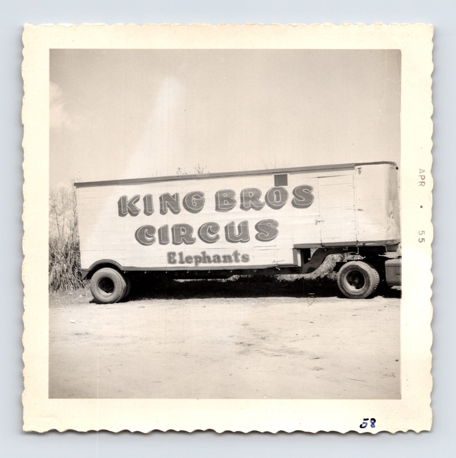 King Bros Circus 1955 photo elephant transport truck with painted signage Elephants winter quarters