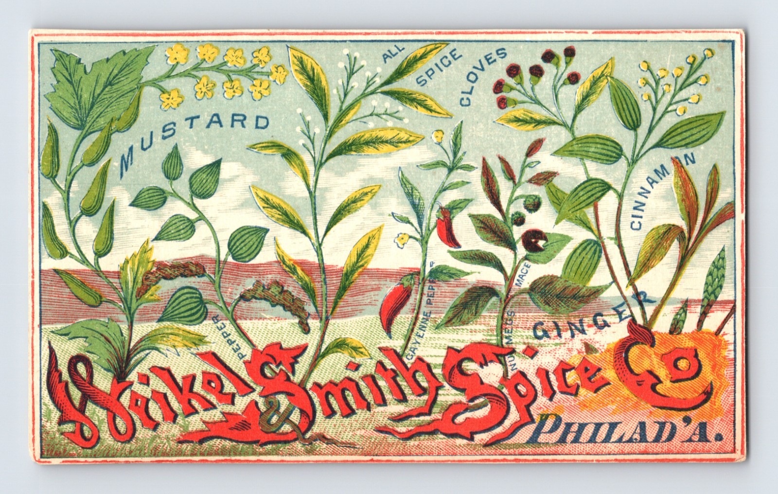 Victorian trade card advertising Weikel Smith Spice of Philadelphia with illustrated mustard cloves cinnamon and ginger plants 3 x 5