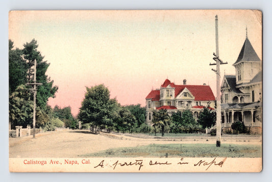 Napa California Calistoga Avenue Pre-1907 Hand Colored Postcard Unposted