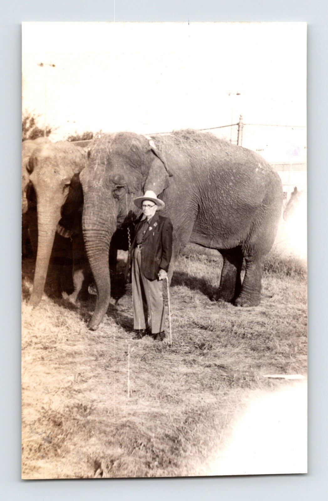 Cole Bros Circus 1945 elephant with handler Dad White Iola Kansas vintage photo