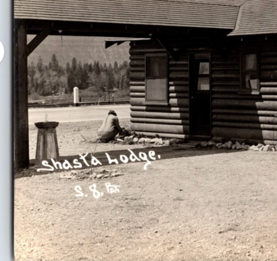 Mount Shasta California Shasta Lodge Auto Court 1940s RPPC Postcard Unposted