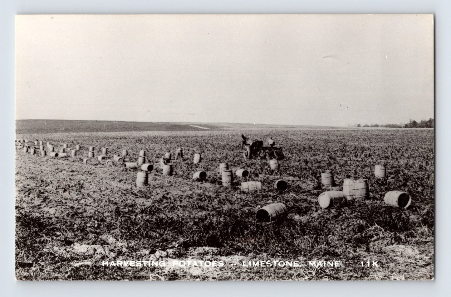 Limestone Maine potato harvest 1950s RPPC postcard with tractor field barrels and agricultural landscape