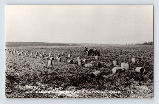 Limestone Maine potato harvest 1950s RPPC postcard with tractor field barrels and agricultural landscape