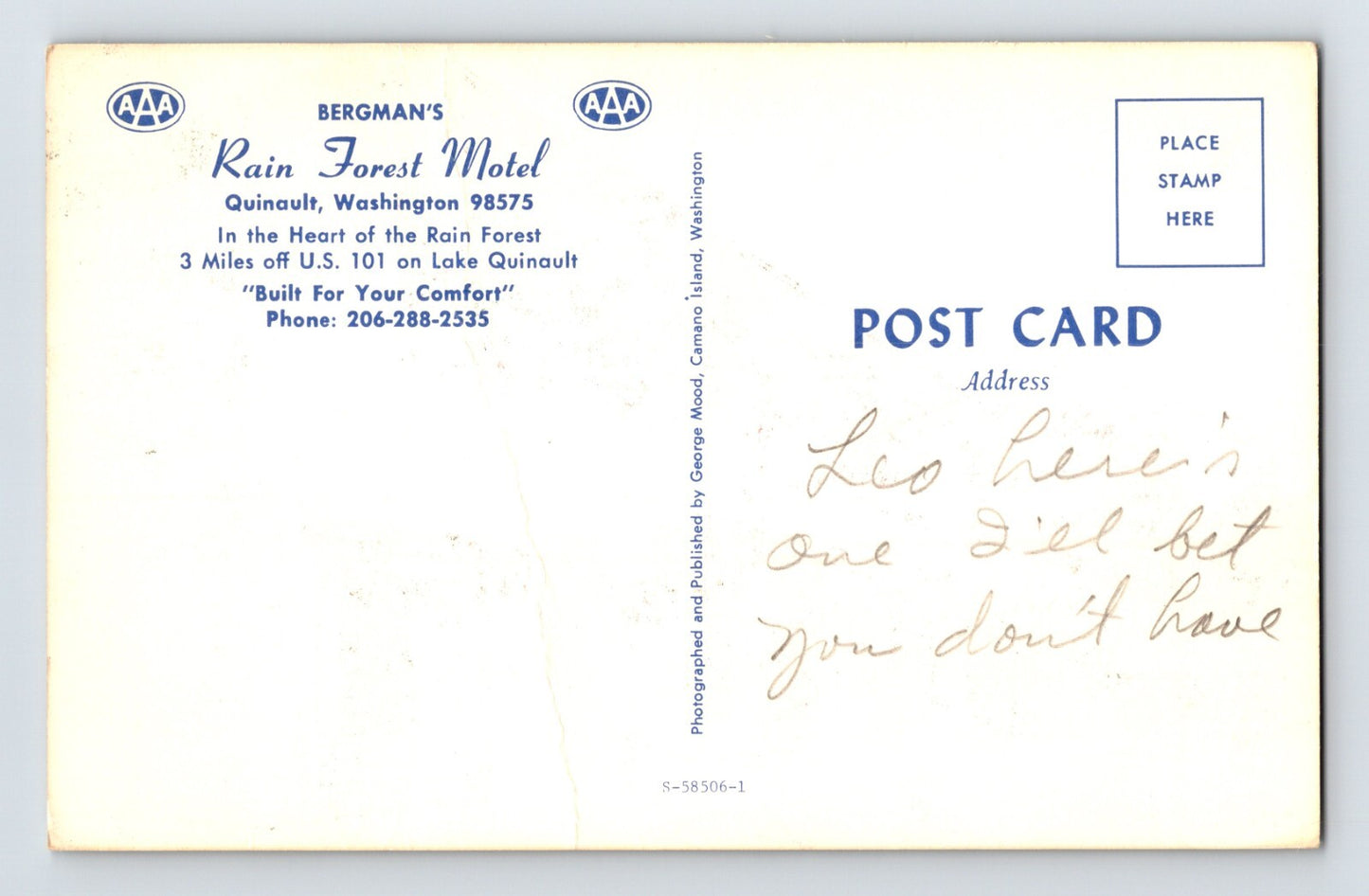 Quinault Washington Rain Forest Motel 1960s Postcard Unposted Chrome