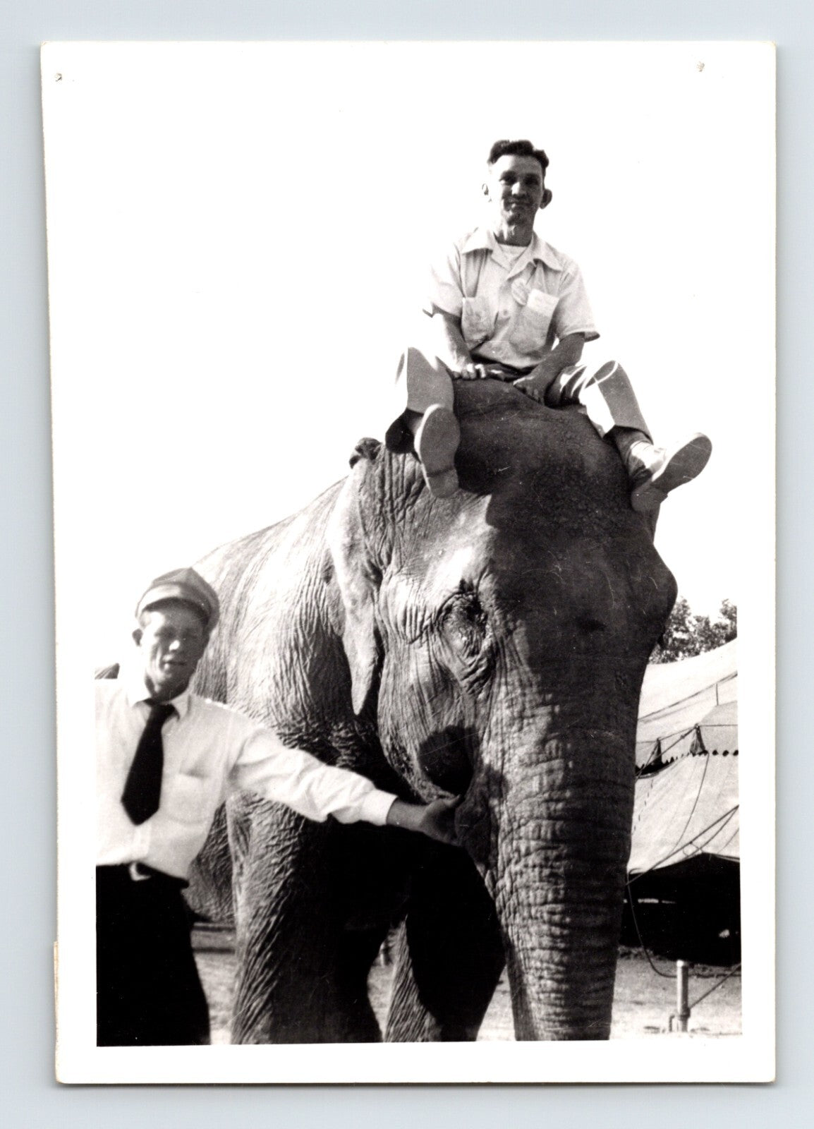 King Bros Circus 1955 elephant Homer Walton Dover Ohio man riding elephant photo