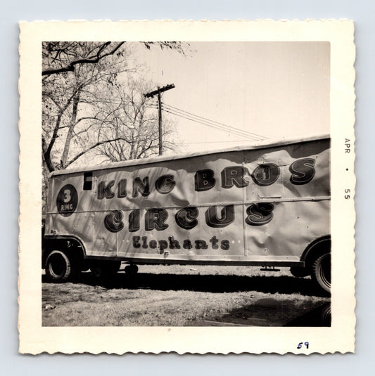 King Bros Circus 1955 photo elephant transport trailer Three Ring Circus Elephants lettering winter quarters