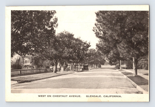 Glendale California Chestnut Avenue tree lined residential street early automobile 1910s divided back postcard front view