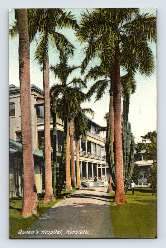 Queens Hospital Honolulu Hawaii palm lined walkway building 1907 postcard
