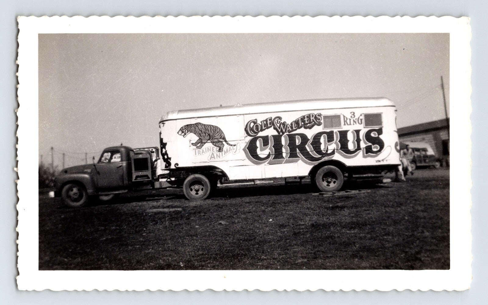 Cole Walters Circus truck and trailer with tiger graphic Hugo Oklahoma 1952 vintage photo