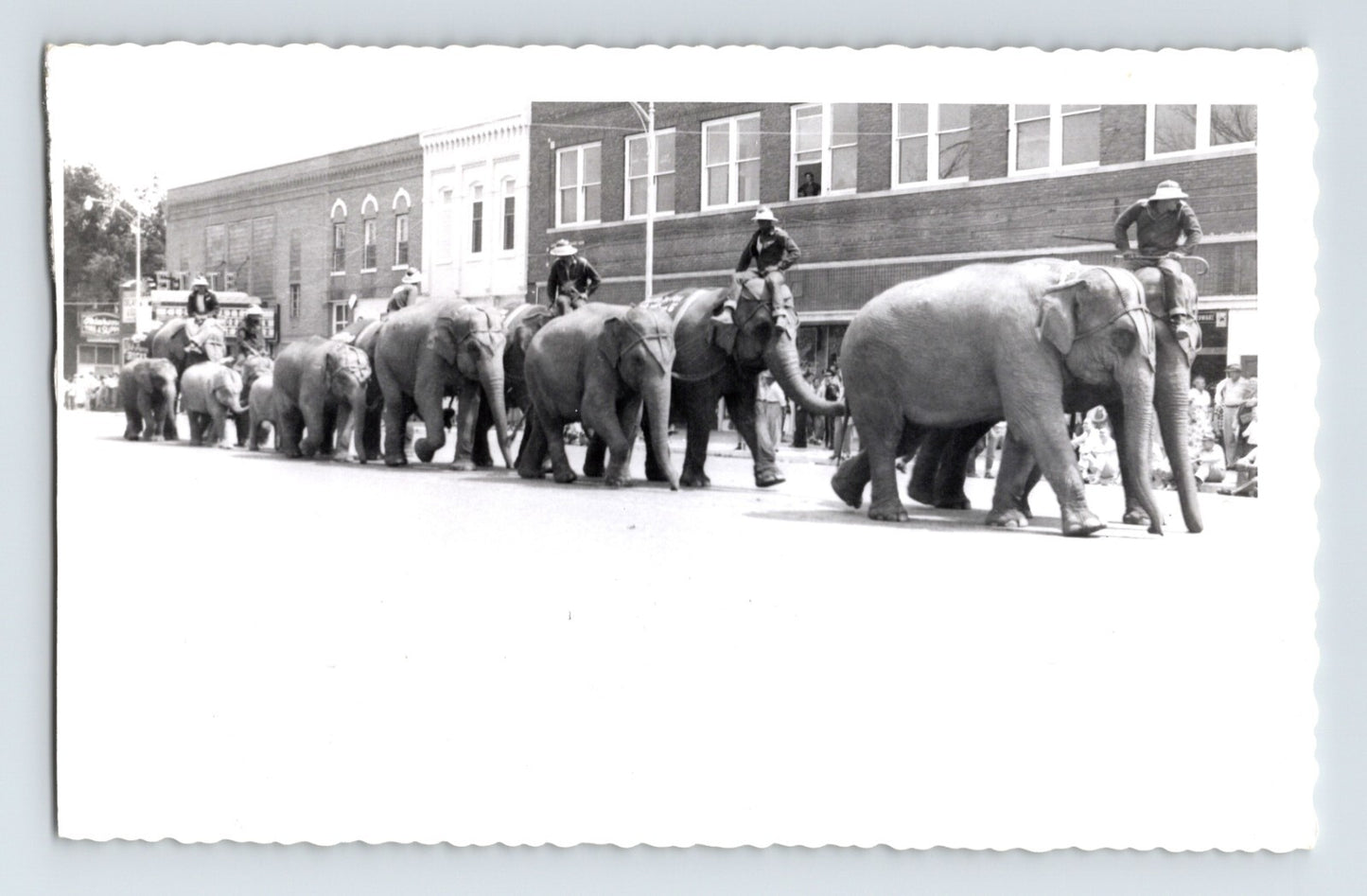 Kelly Miller Circus 1956 elephant street parade photograph