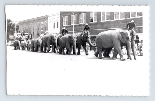 Kelly Miller Circus 1956 elephant street parade photograph