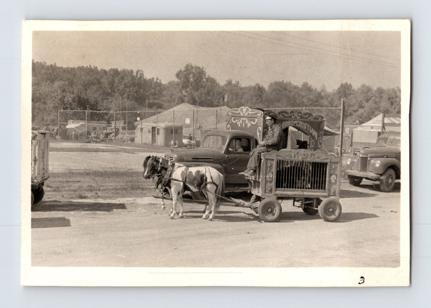 King Bros Cristiani Circus 1950s photo pony team pulling animal cage wagon circus lot