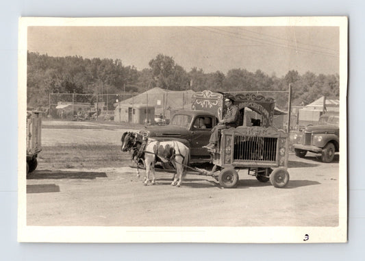 King Bros Cristiani Circus 1950s photo pony team pulling animal cage wagon circus lot
