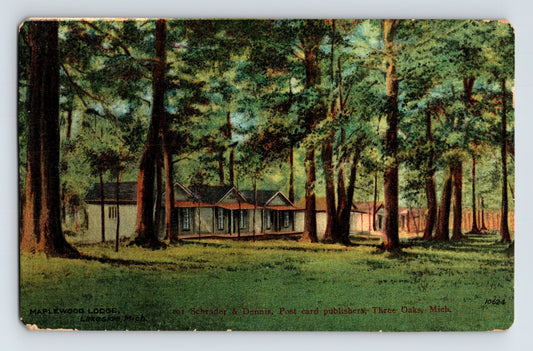 Lakeside Michigan Maplewood Lodge wooded cabins trees early resort buildings 1916 postcard posted divided back
