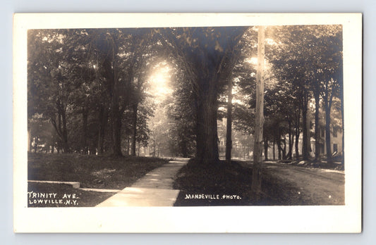 Lowville New York Trinity Avenue tree lined street Mandeville photo RPPC