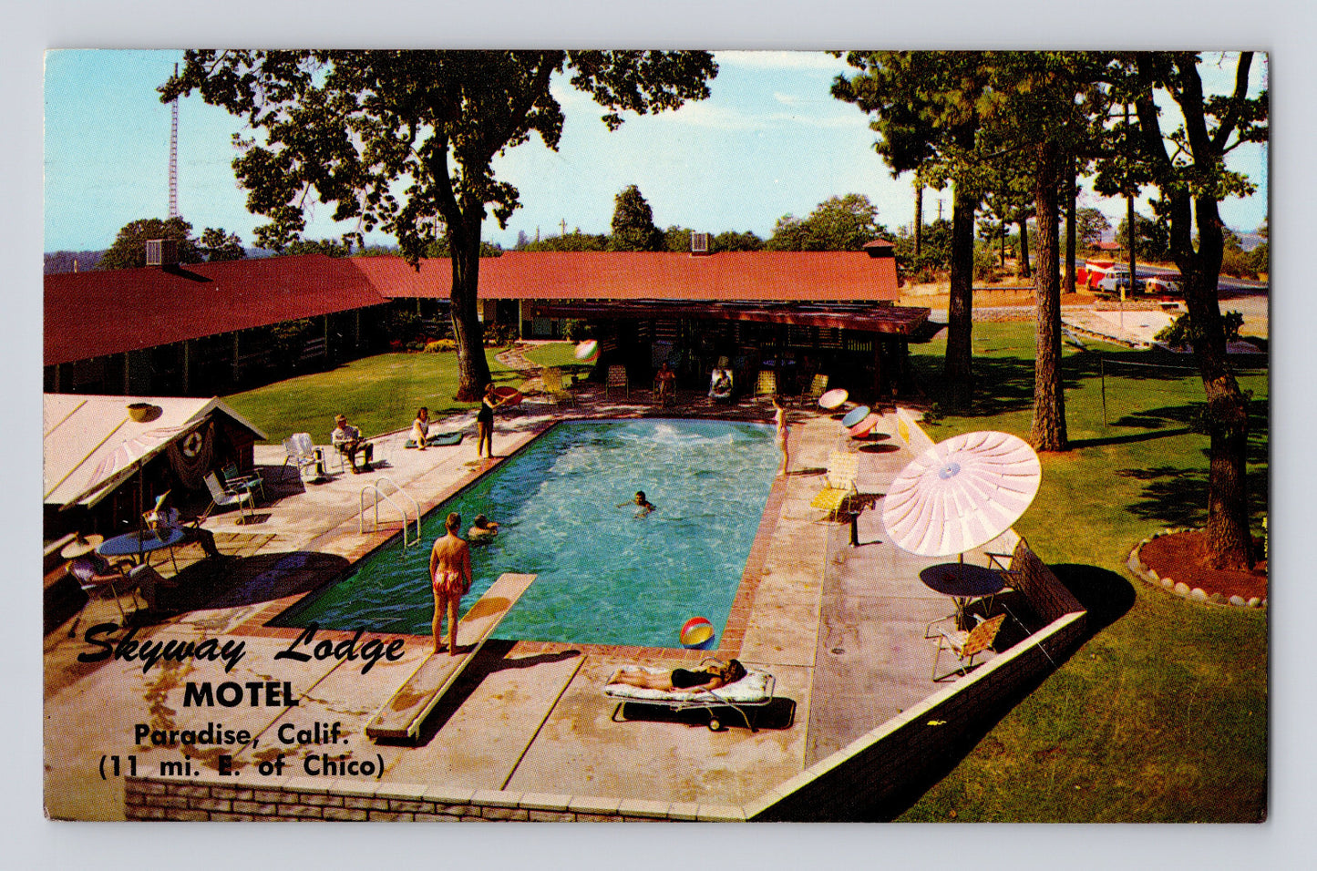 Paradise California Skyway Lodge Motel pool swimmers 1960s chrome postcard