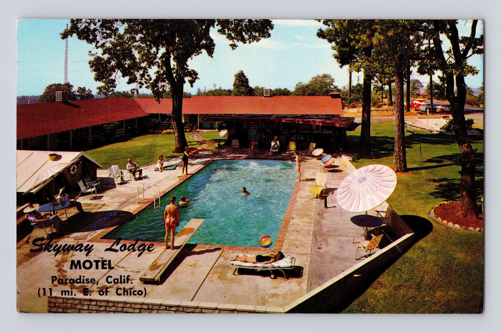 Paradise California Skyway Lodge Motel pool swimmers 1960s chrome postcard