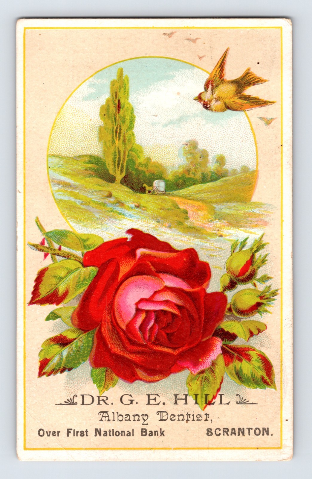 Scranton Pennsylvania Dr G E Hill Albany Dentist Rose Trade Card 5 x 3