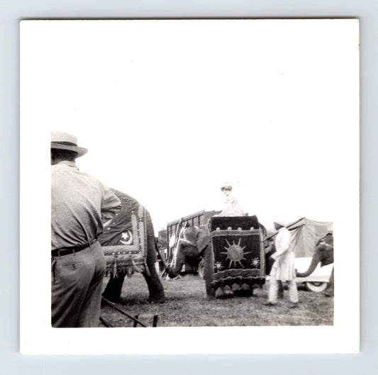 1954 Clyde Beatty Circus elephant wagon clown Concordia Kansas 3.5 x 3.5 photo
