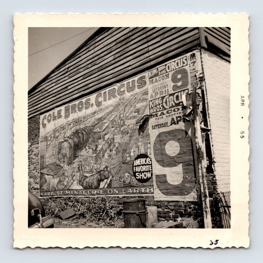 Cole Bros Circus Macon Georgia 1955 photo of billboard circus poster on brick building wall - 3.5 x 3.5