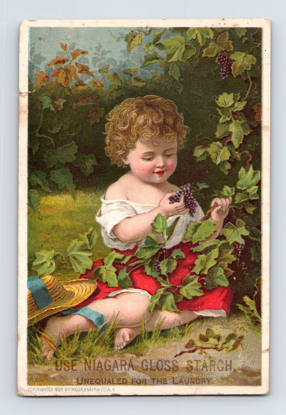 Victorian trade card Niagara Gloss Starch girl picking grapes garden illustration