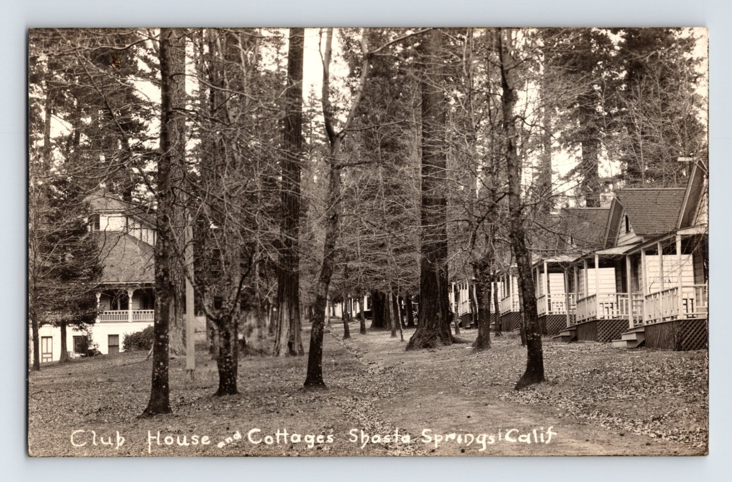 Shasta Springs California Club House Cottages 1910s RPPC Postcard Unposted