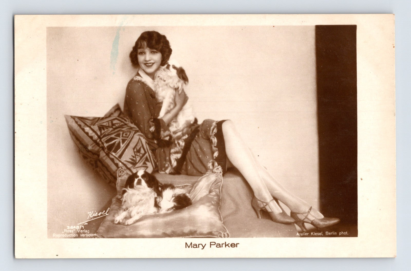 Sepia-tone postcard portrait of actress Mary Parker reclining with two small dogs in a glamorous studio setting with patterned cushions and evening attire.