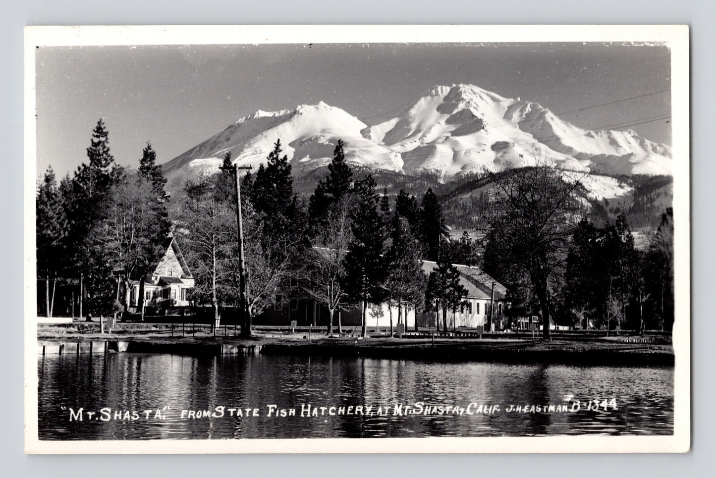 Mount Shasta California view from state fish hatchery snow covered peak lake reflection trees buildings RPPC postcard
