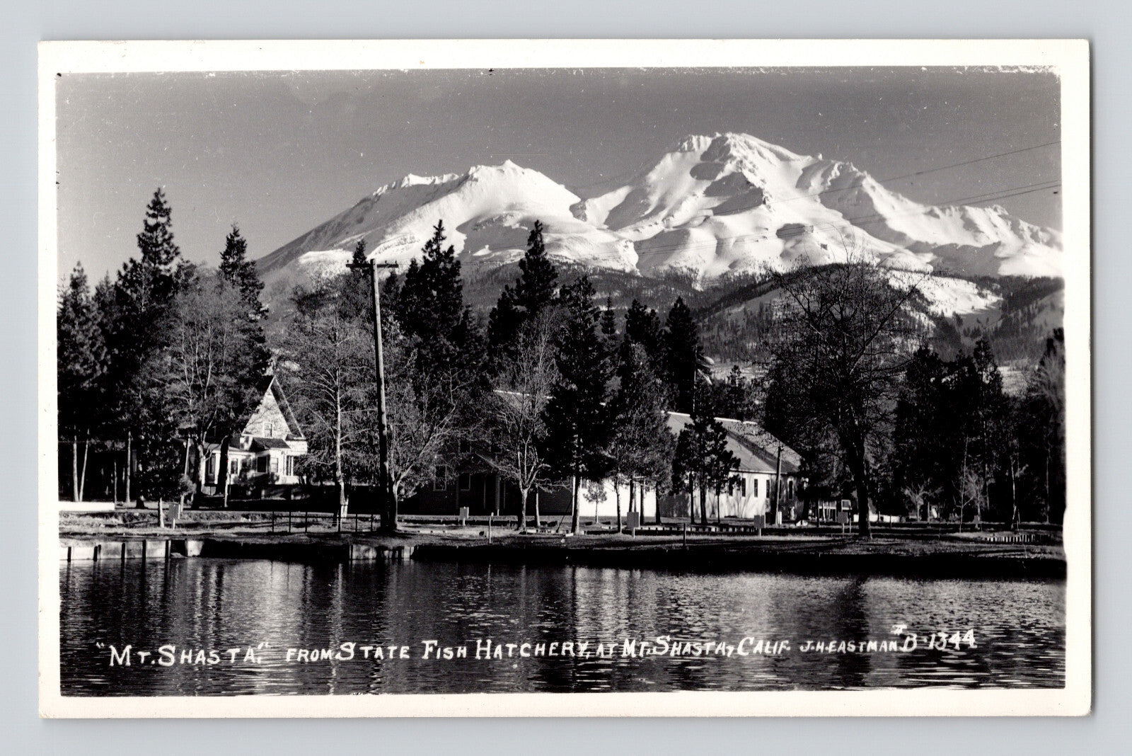 Mount Shasta California view from state fish hatchery snow covered peak lake reflection trees buildings RPPC postcard