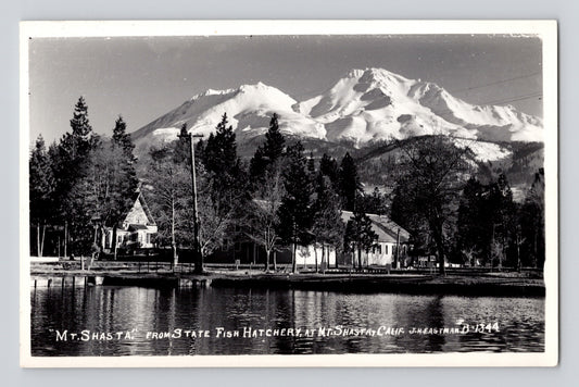 Mount Shasta California view from state fish hatchery snow covered peak lake reflection trees buildings RPPC postcard