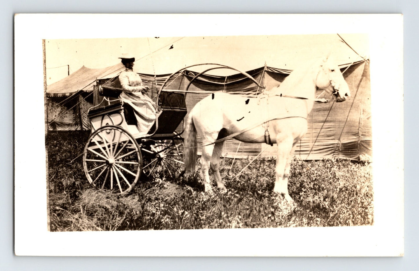 1940s RPPC Norris Rowe Circus woman seated in horse-drawn carriage beside canvas tent AZO real photo postcard unposted