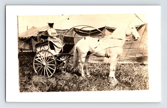 1940s RPPC Norris Rowe Circus woman seated in horse-drawn carriage beside canvas tent AZO real photo postcard unposted
