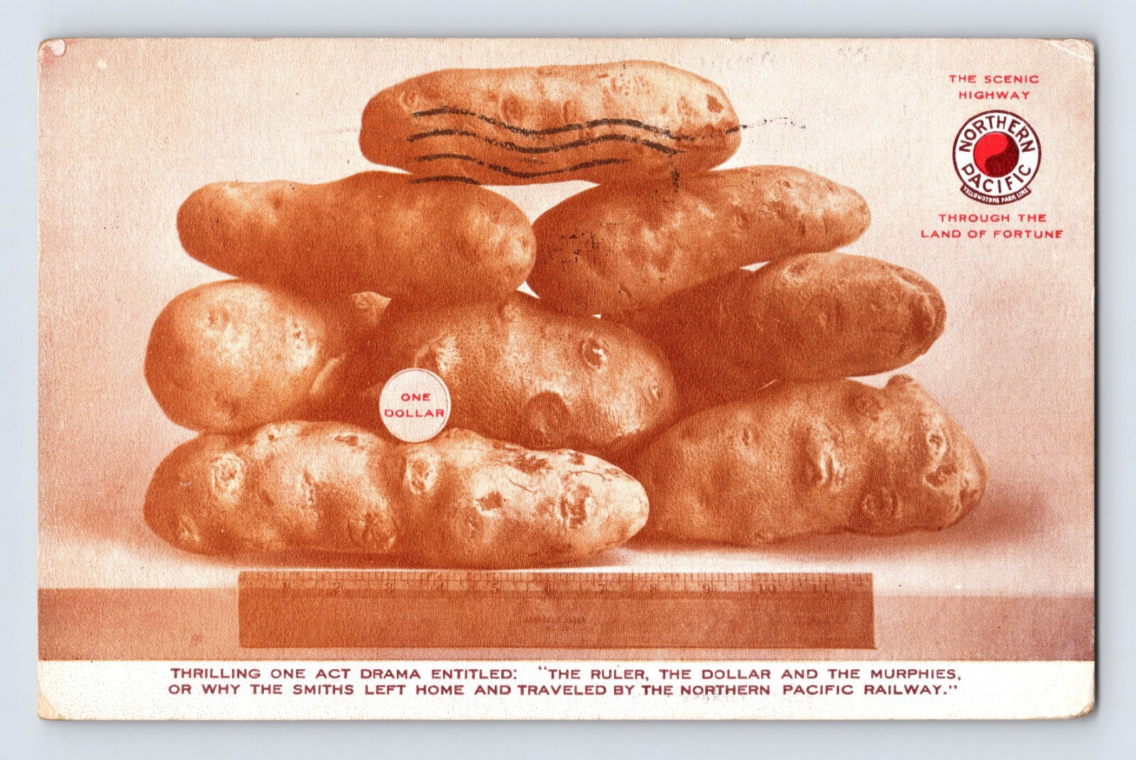 Northern Pacific Railway potato advertising postcard 1910 sepia image of stacked potatoes with ruler and one dollar emblem